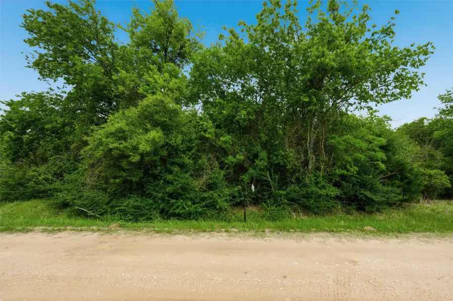 TBD Melondale Drive, Elm Mott, TX 76640 - #2