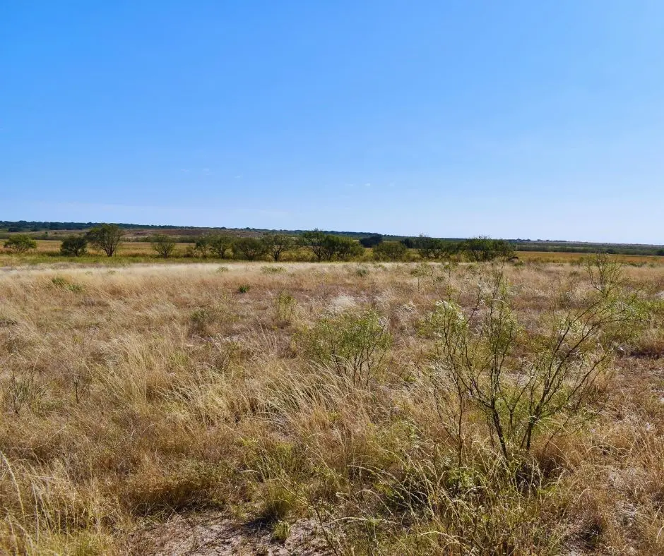 60 A Cr 144, Melvin, TX 76858 - #1