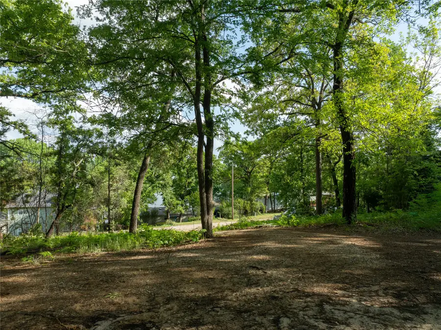 175 North Lake Drive, Murchison, TX 75778 - #2