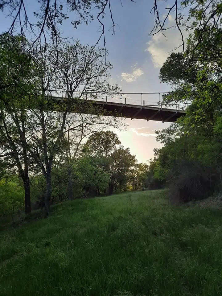 441 Cr 433, Mullin, TX 76864 - #1