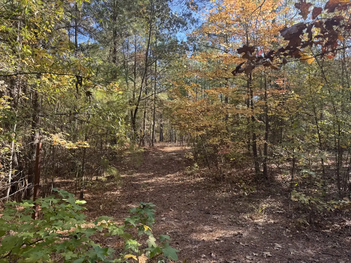 000 Cr 2451, Clarksville, TX 75426 - #1