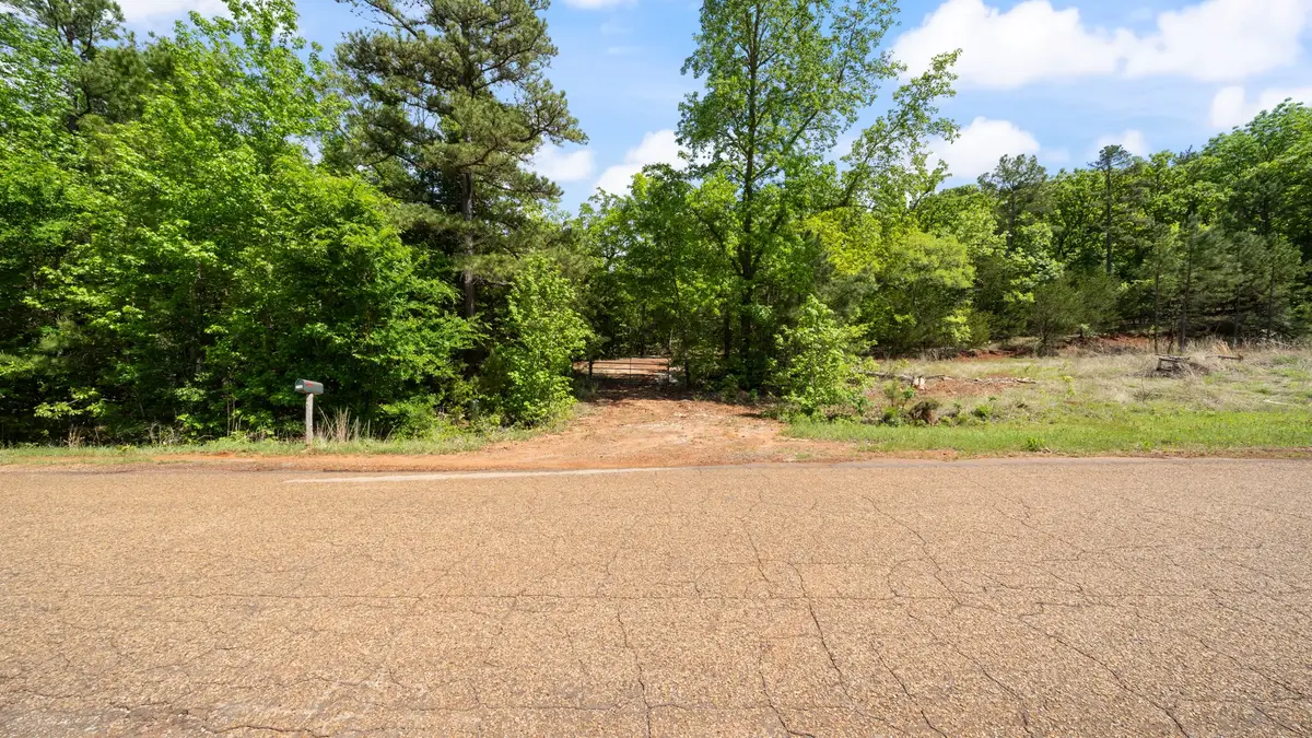 TBD County Road 4915, Ben Wheeler, TX 75754 - #1