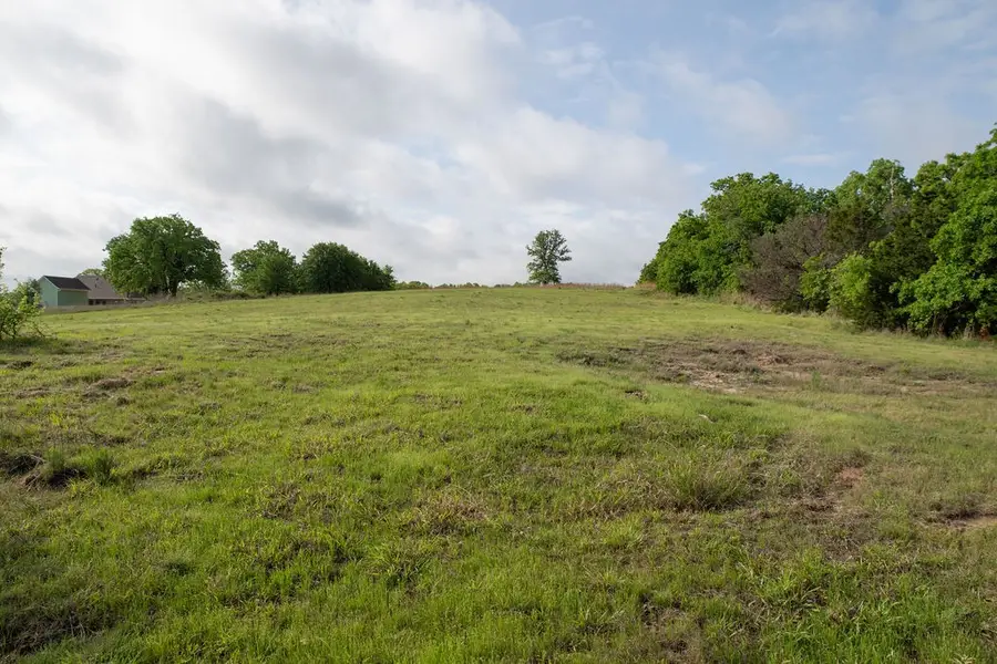 605 W Kerry Court, Poolville, TX 76487 - #2