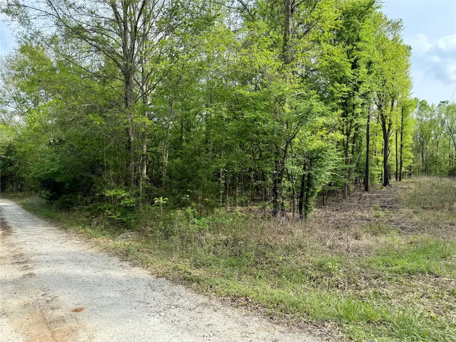 TBD County Road 4131, Mount Vernon, TX 75457 - #3