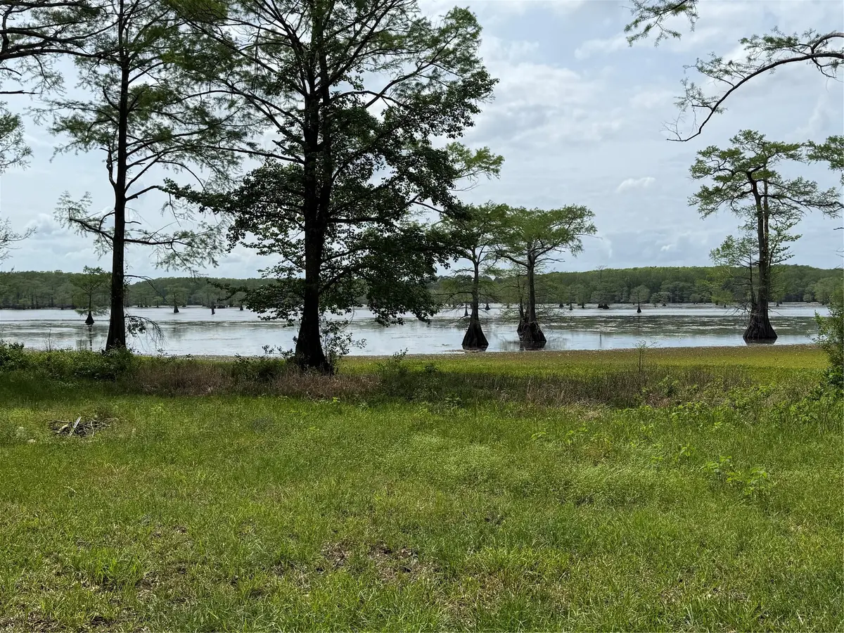 11756 Catfish Road, Vivian, LA 71082 - #1