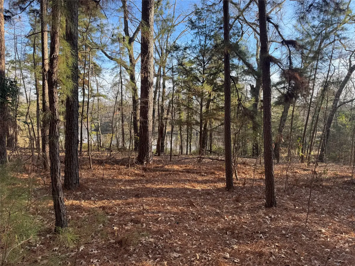 1527 Fm 778, Quitman, TX 75783 - #1