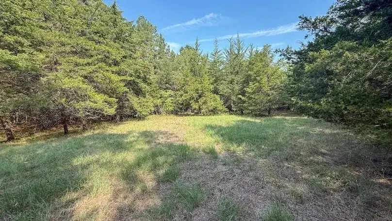 0000 Cr-3401, De Kalb, TX 75559 - #3