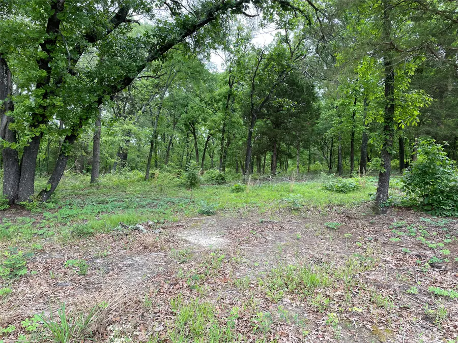 TBD Valle Vista Road, Athens, TX 75751 - #3