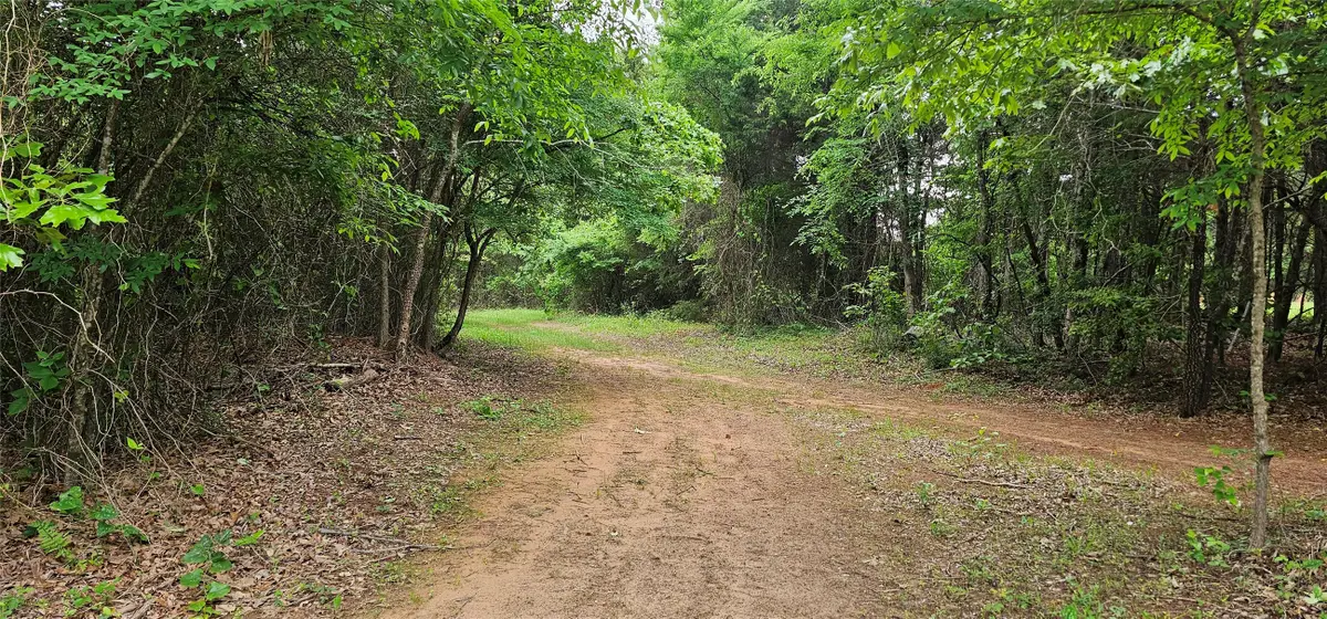 TBD Vz County Road 4814, Ben Wheeler, TX 75754 - #1