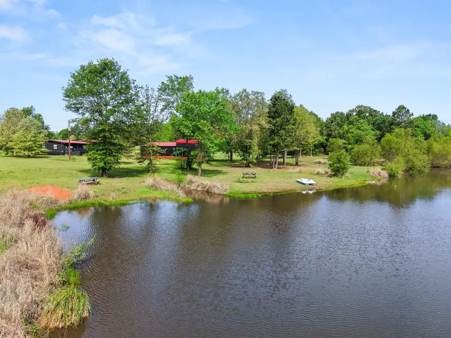 1333 Lupine Road, Gilmer, TX 75644 - #3