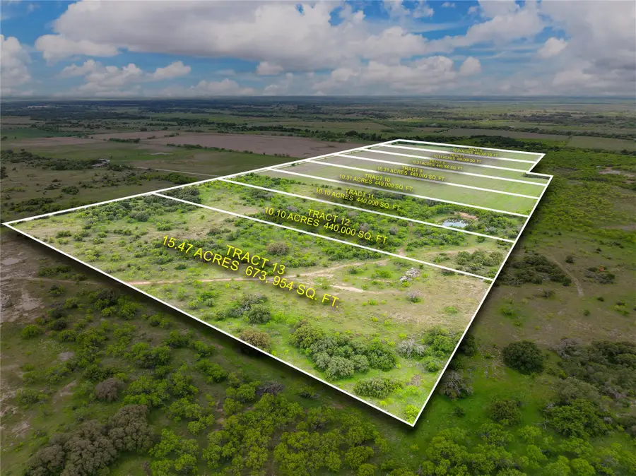 Tract 6 County Road 160, Bangs, TX 76823 - #3