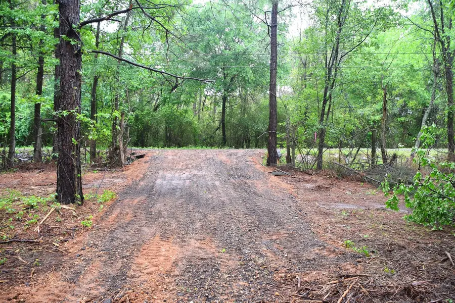 0 Collins Road, Nash, TX 75569 - #2