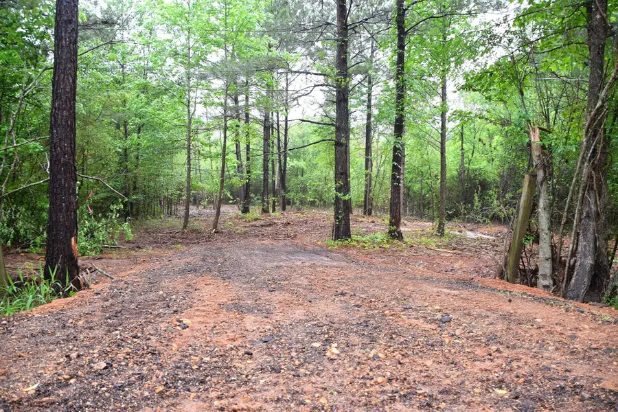 0 Collins Road, Nash, TX 75569 - #3