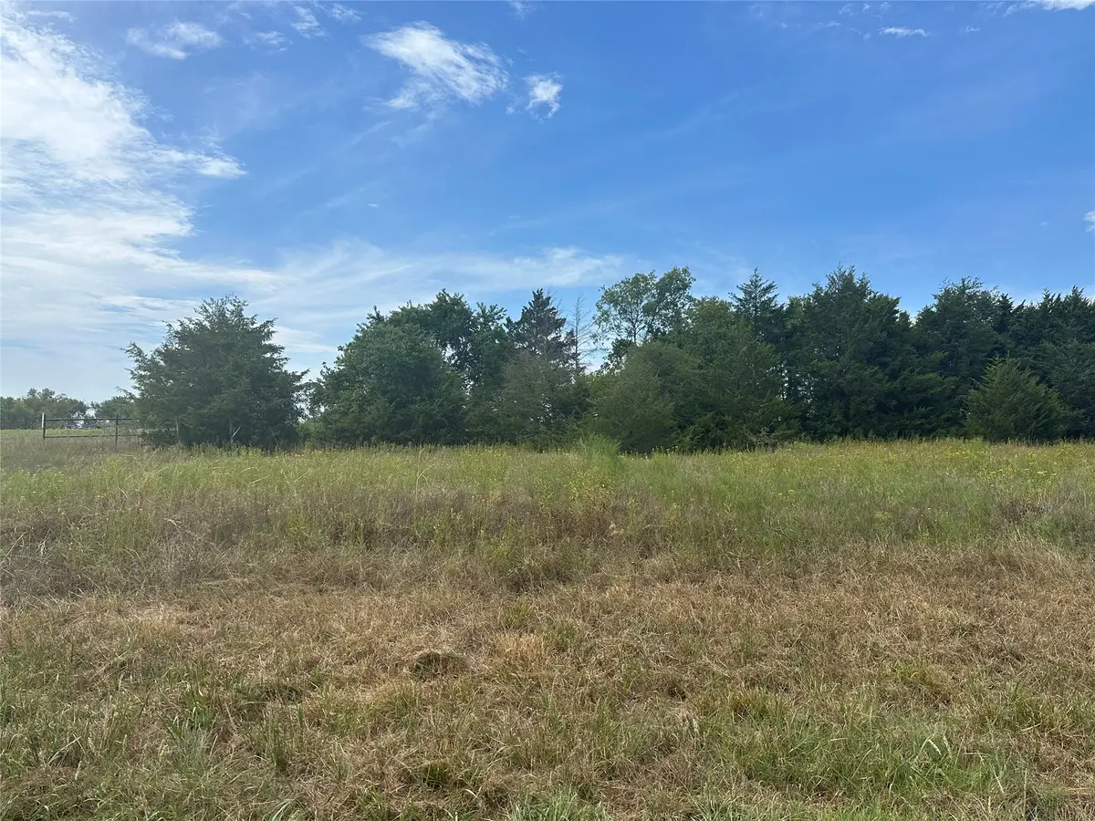 TBD State Hwy 56, Bells, TX 75414 - #1