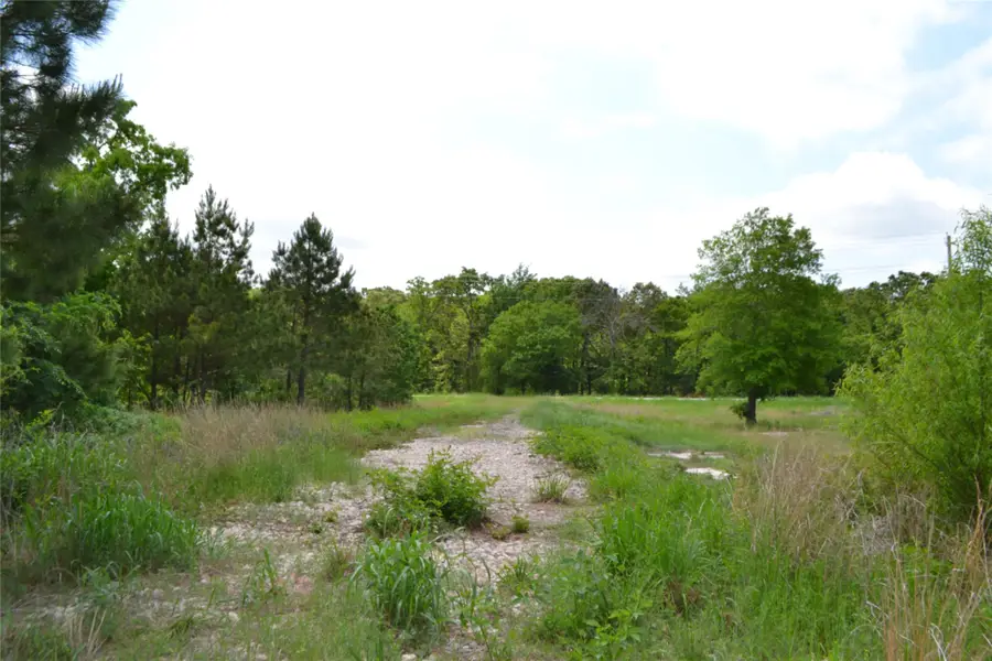TBD S Hwy 69, Alba, TX 75410 - #3