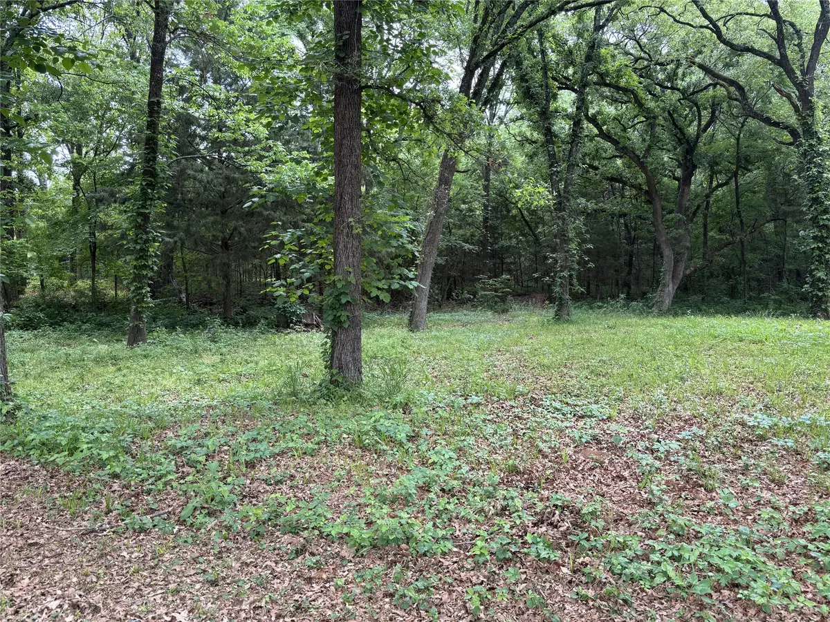 TBD Torama Street, Quinlan, TX 75474 - #1
