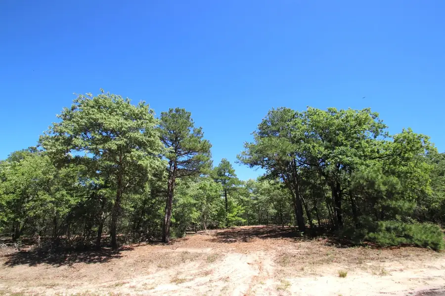 TBD Cr 4552, Winnsboro, TX 75494 - #2