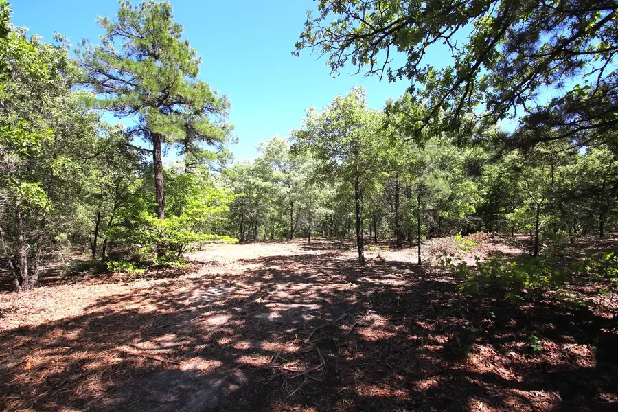 TBD Cr 4552, Winnsboro, TX 75494 - #3
