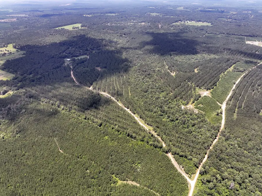 0 T-8 County Road 1425, Woodville, TX 75979 - #2