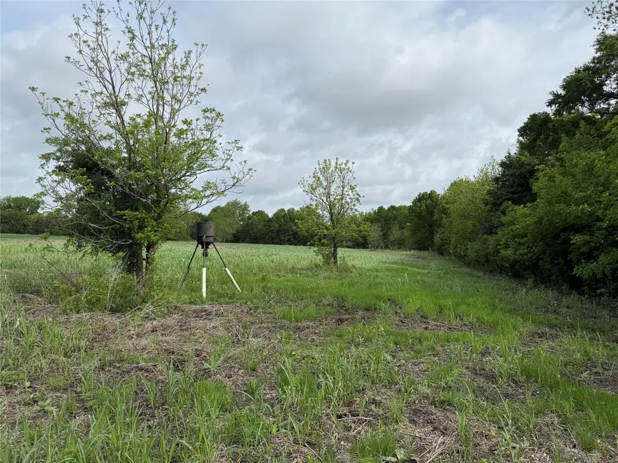 TBD Cr 23300, Roxton, TX 75477 - #2