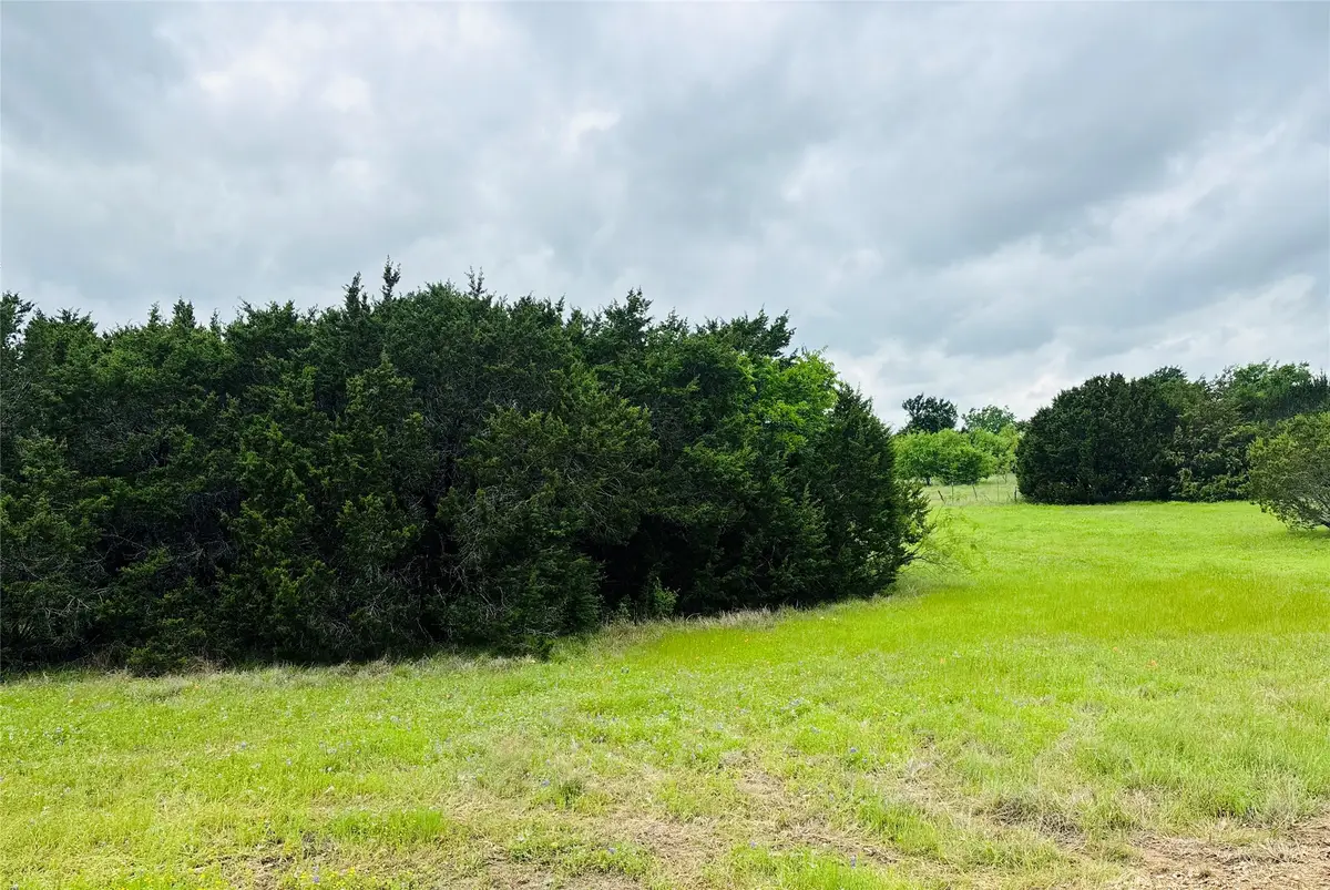 8356 Bruntsfield Loop Drive, Cleburne, TX 76033 - #1