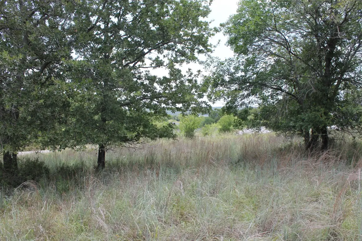 120 Demonbreun Court, Chico, TX 76431 - #1