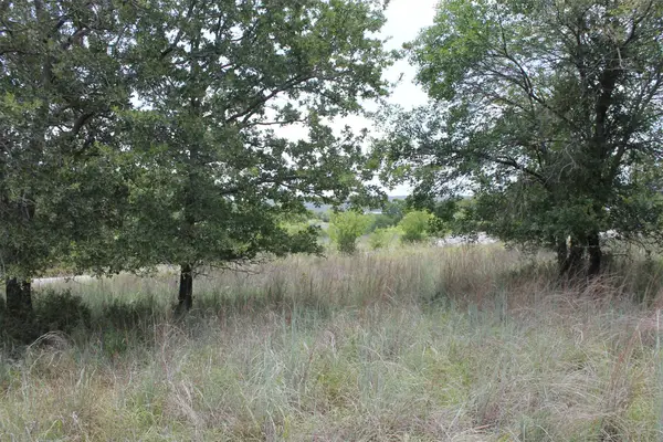 120 Demonbreun Court, Chico, TX 76431