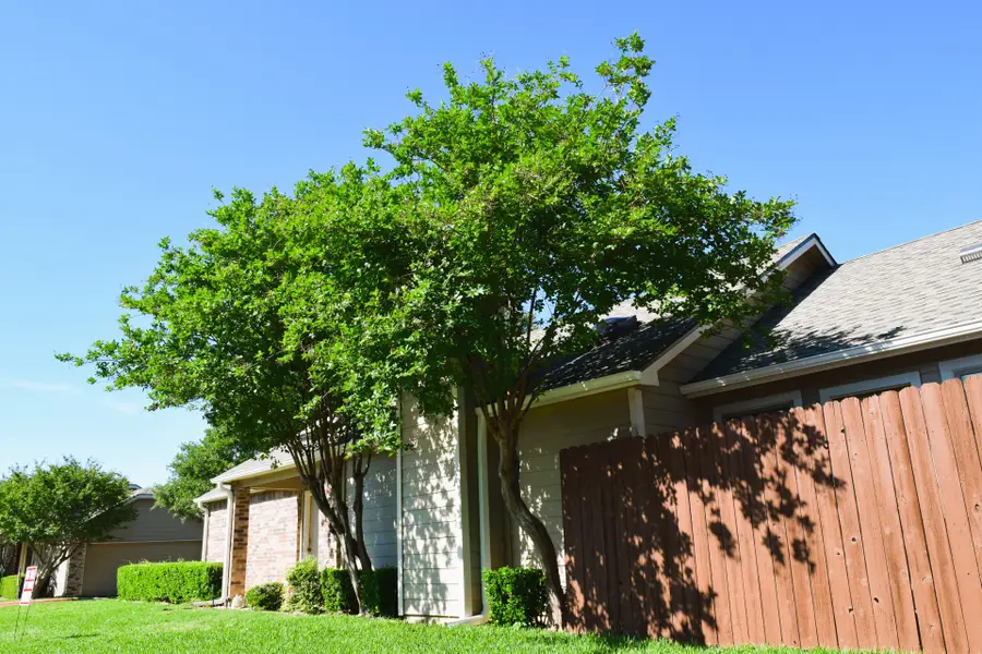 1800 Maplewood Trail, Colleyville, TX 76034 - #3