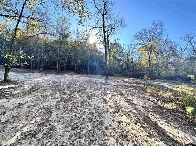 0 Cr 4302, Larue, TX 75770 - #1