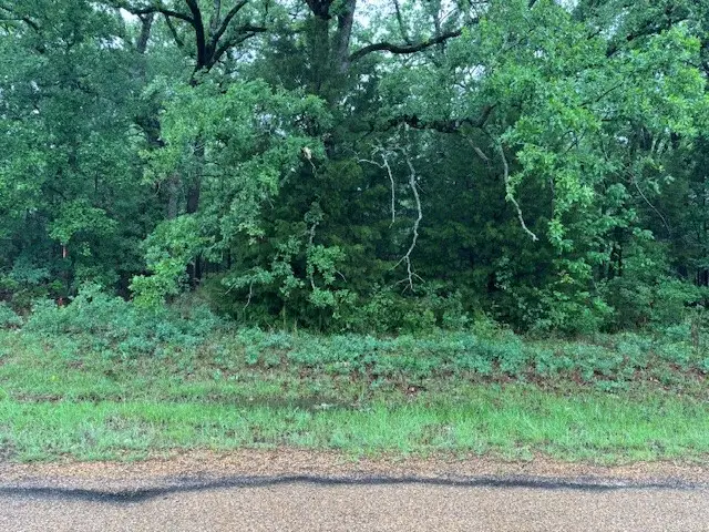 111 Double Bridge Road, Mabank, TX 75156 - #1
