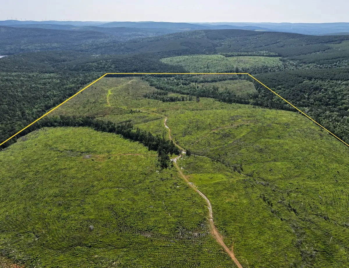 0 D4289 Road, Antlers, OK 74536 - #1