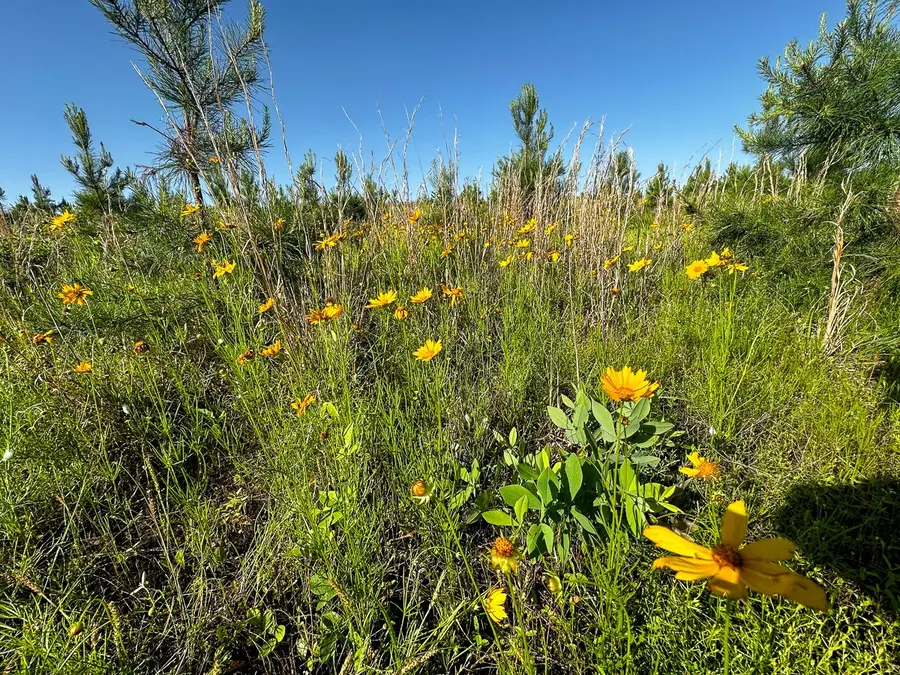 0 D4289 Road, Antlers, OK 74536 - #3