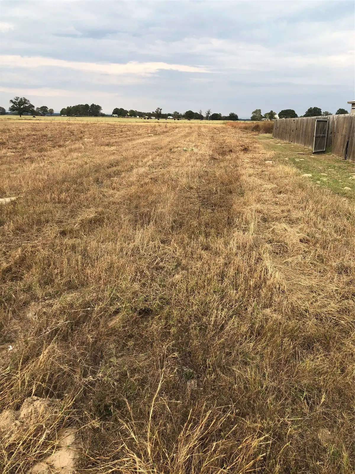 14244 County Road 452, Lindale, TX 75771 - #1