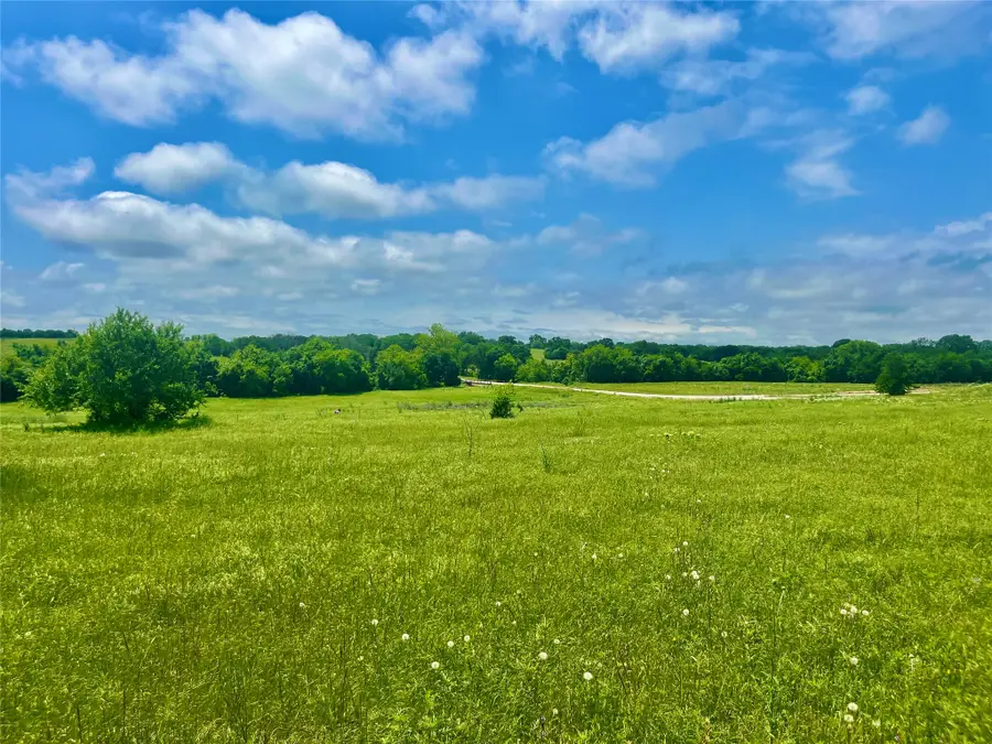 Lot 3 Clare Rd, Poolville, TX 76487 - #2