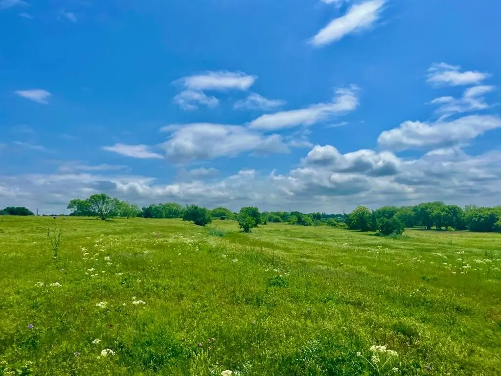 Lot 4 Clare Rd, Poolville, TX 76487 - #1