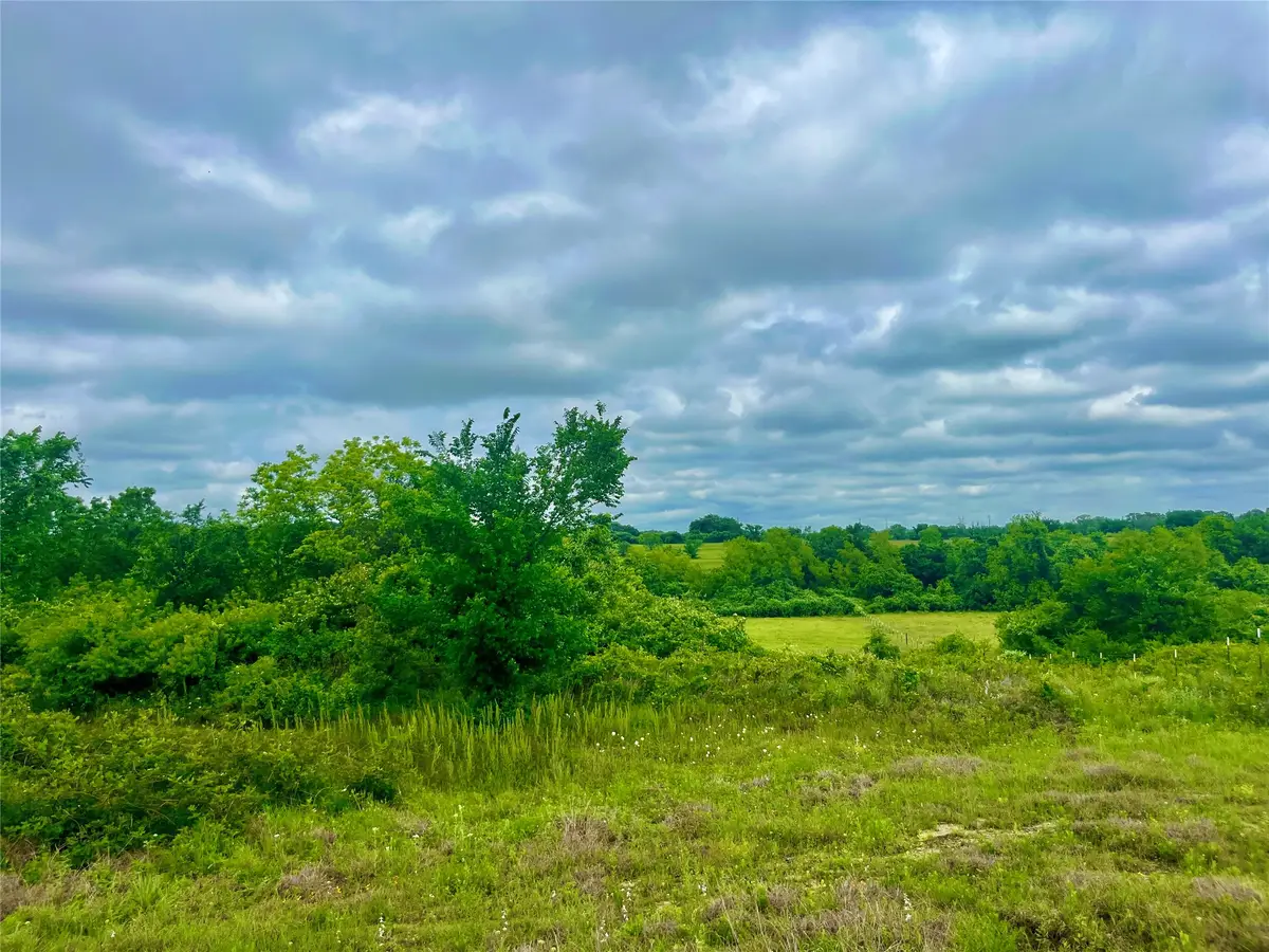 Lot 8 Clare Rd, Poolville, TX 76487 - #1