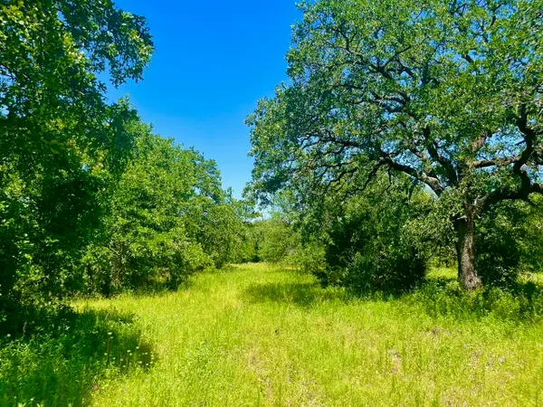 Lot 32 Galway Rd, Poolville, TX 76487
