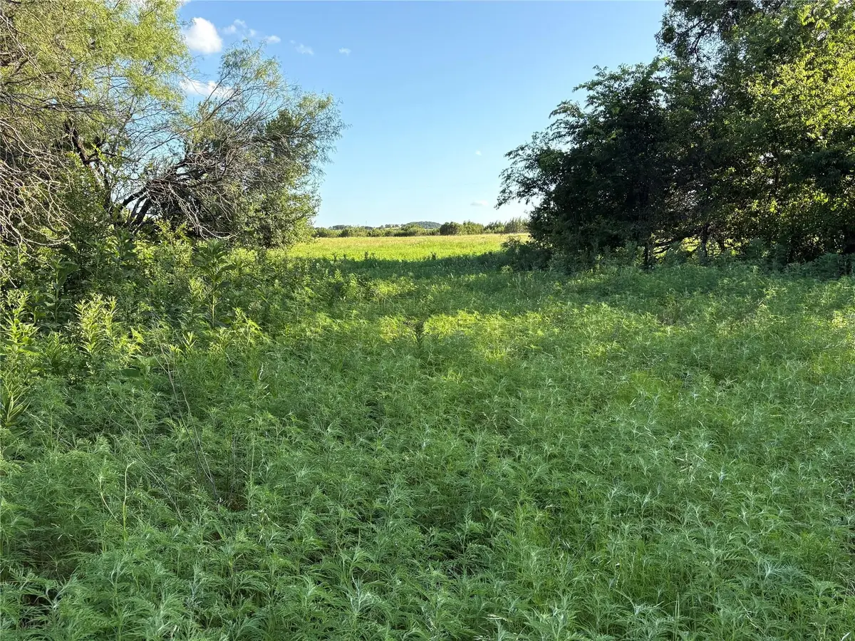 2652 Fm 216, Iredell, TX 76649 - #1