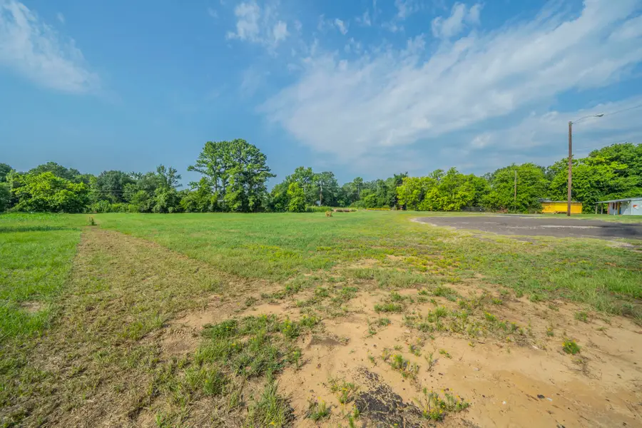 350 Quail Street, Van, TX 75790 - #3