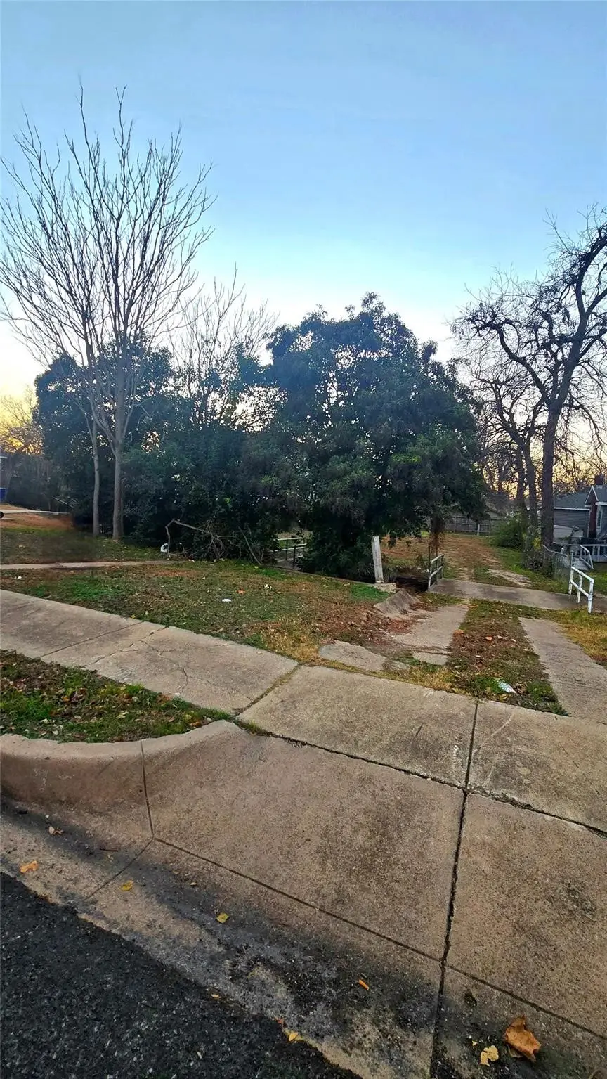 1009 S Waverly Drive, Dallas, TX 75208 - #3