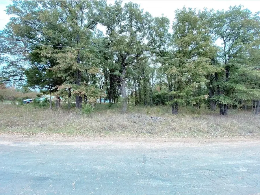 00 Barcelona Street, Payne Springs, TX 75156 - #2