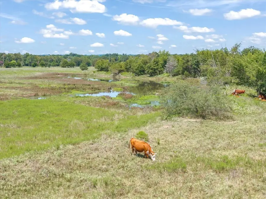 00A Vz County Road 3804, Wills Point, TX 75169 - #3