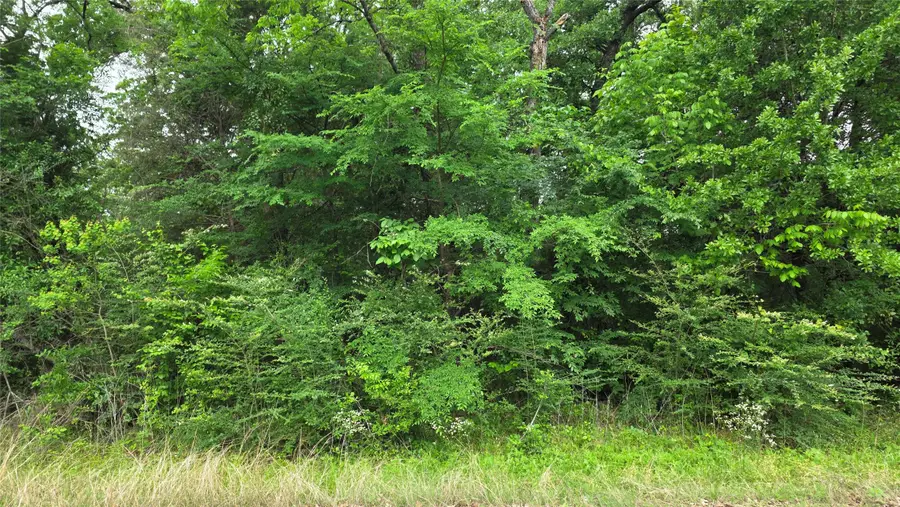 TBD Morning Dove Road, Trinidad, TX 75163 - #2