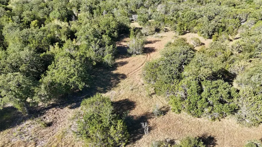 Lot 110 Davenport Road, Palo Pinto, TX 76484 - #2