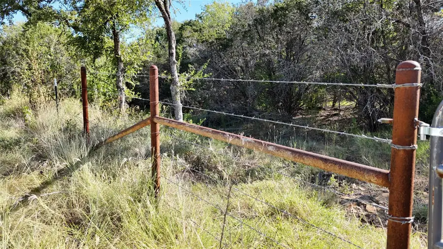 Lot 110 Davenport Road, Palo Pinto, TX 76484 - #3