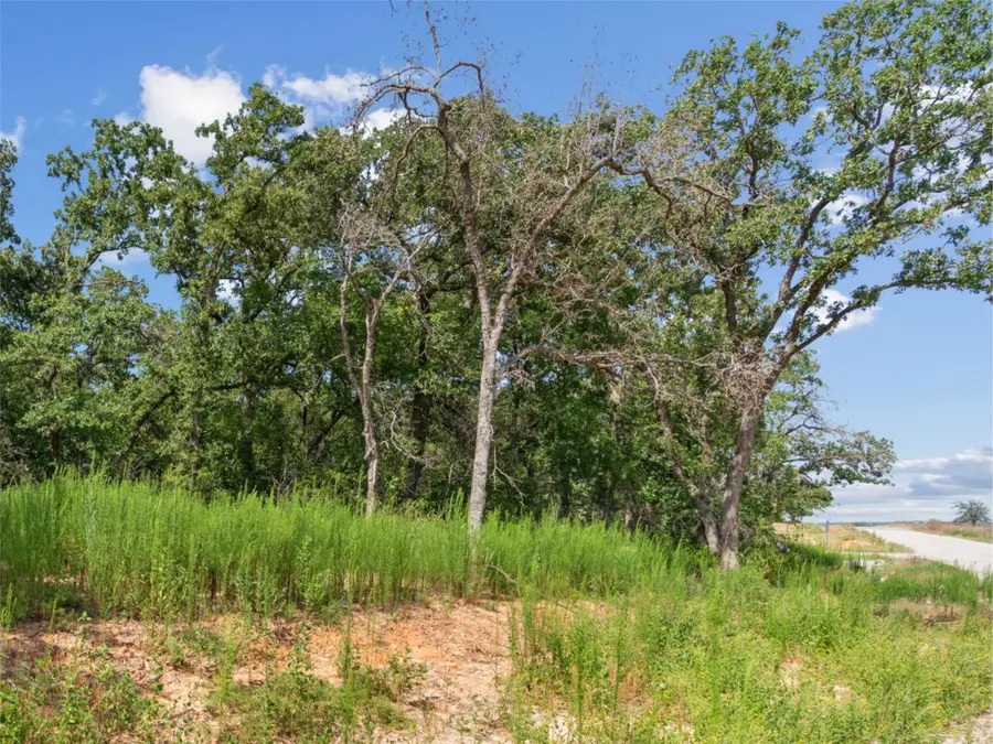 Lot 54 Kilkenny Rd, Poolville, TX 76487 - #3