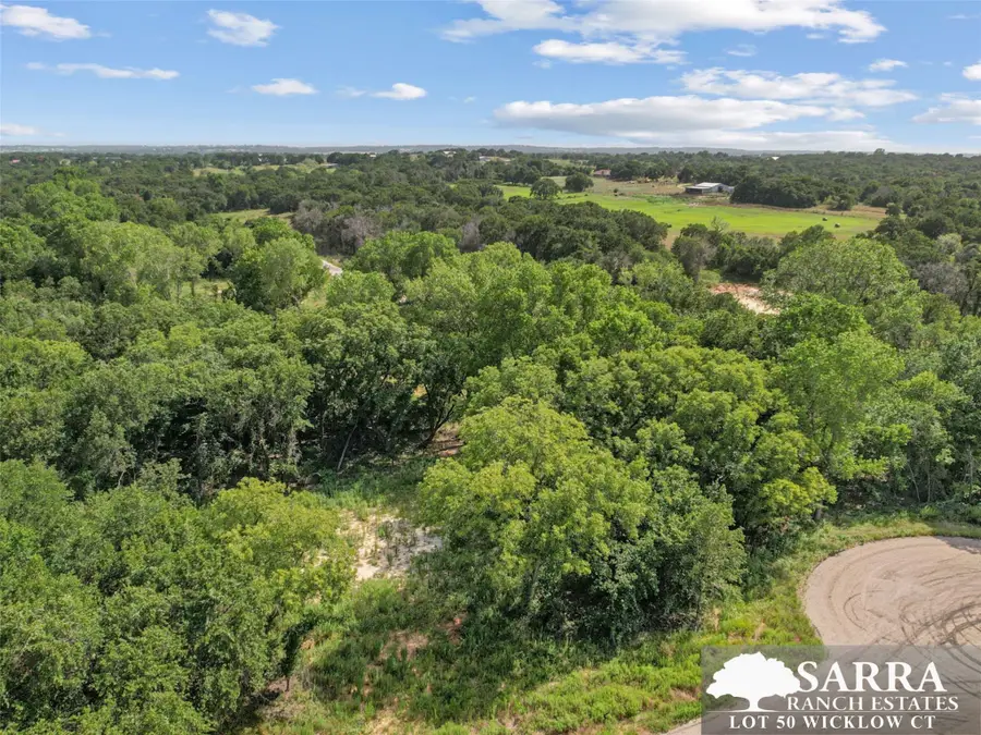 Lot 50 Wicklow Court, Poolville, TX 76487 - #3