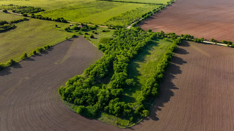 901 County Road 160, Burkett, TX 76828 - #3