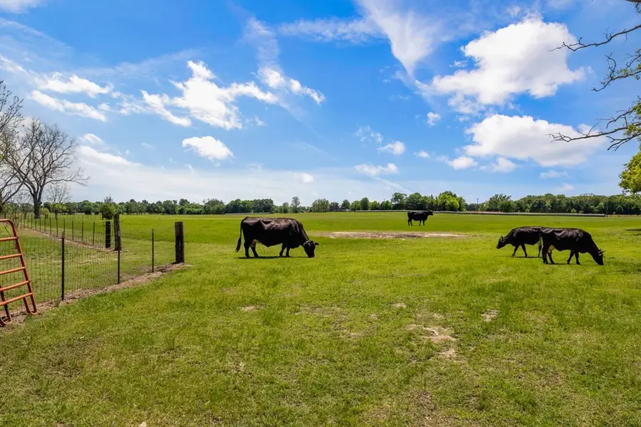 00 Vz County Road 3208, Wills Point, TX 75169 - #3