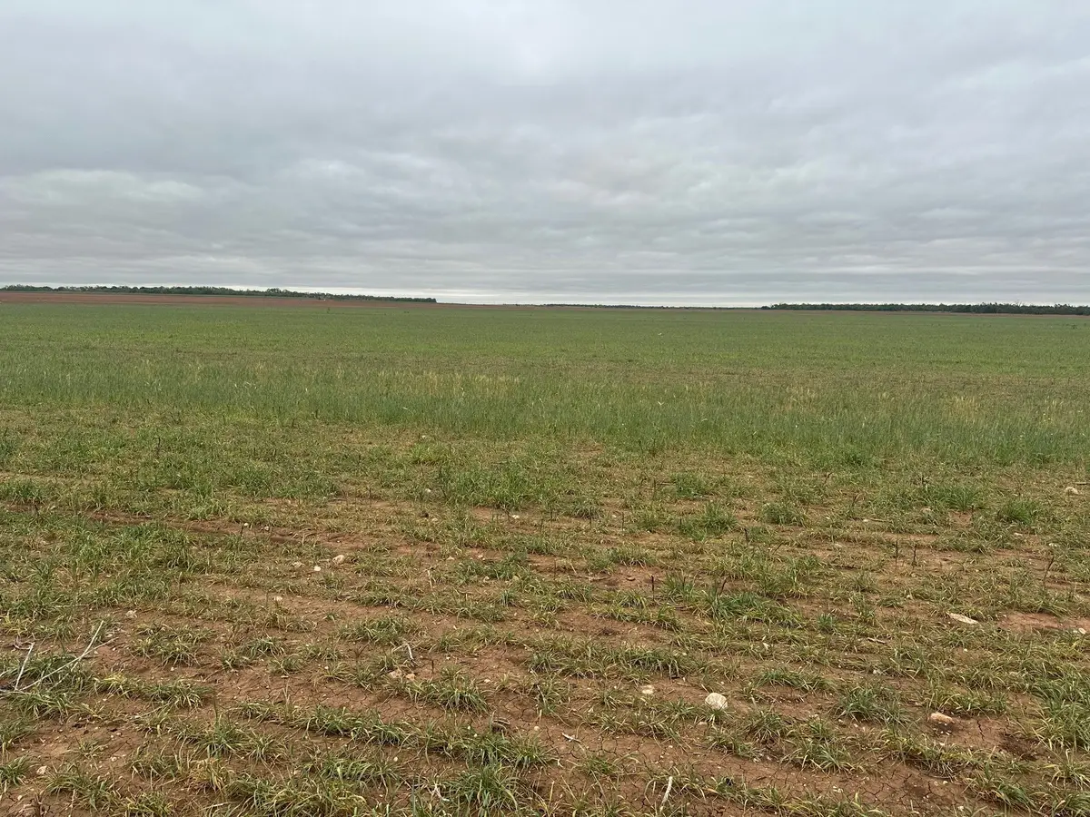 TBD Fm 1812 ( Tract 1 ), Merkel, TX 79536 - #1
